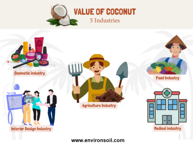 FiveIndustries-CoconutTrees