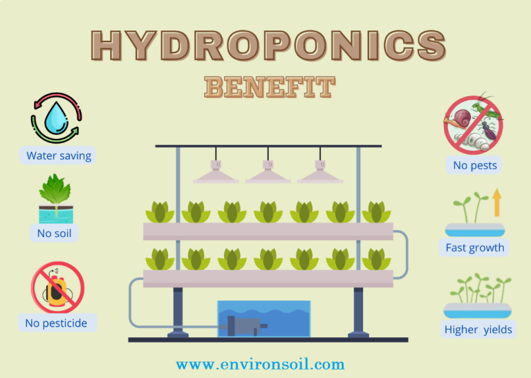 Hydroponics-Benefit