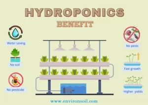 Hydroponics-Benefit3