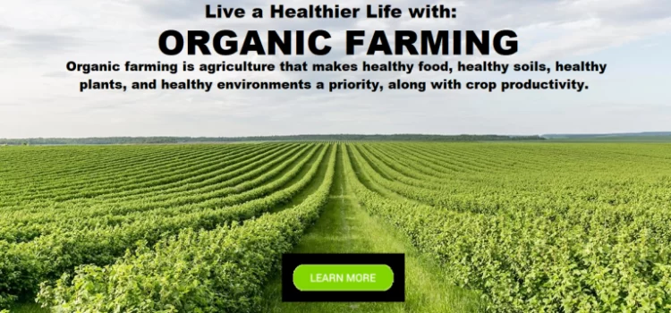 Organic-Farm-Field