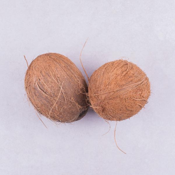 The Environmental Impact of Coconut Coir