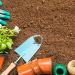 Gardening and Landscaping 