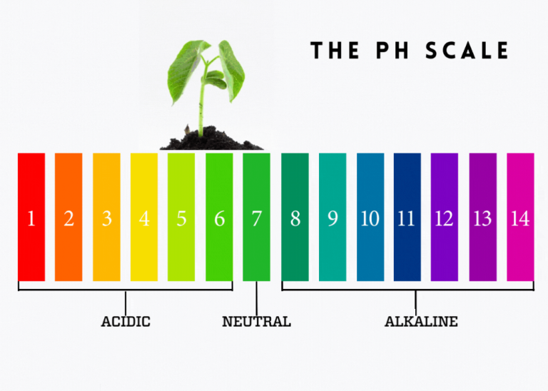 pHScale